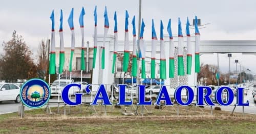 Videoreportaj: G‘allaorolda kartoshka yetishtirish ishlari jadal davom etmoqda 