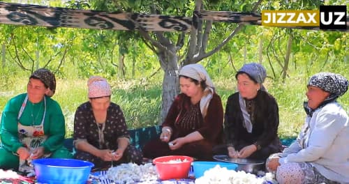 Videoreportaj: Zarbdor tumanida pilla terimi mavsumi boshlandi