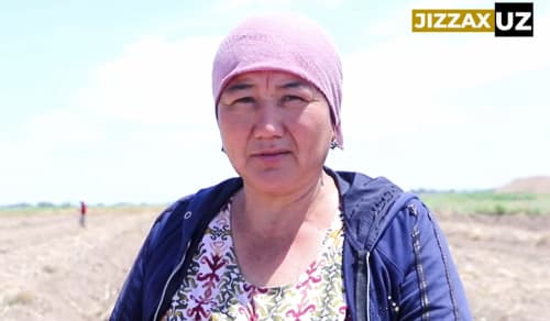 🎥 Videoreportaj: Do‘stlik tumanida yoshlar bandligini ta’minlashga qaratilgan ishlar davom etmoqda