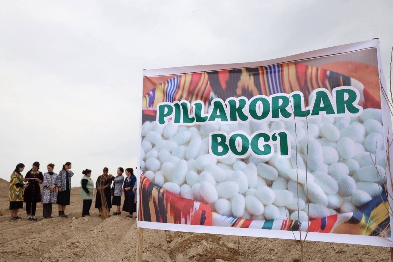 Mirishkorda 4 gektar maydonda “Pillakorlar bog‘i” barpo etildi