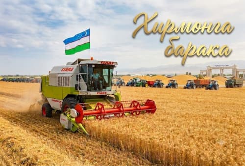 Navoiy viloyati g‘alla topshirish shartnomaviy rejasini bajardi!