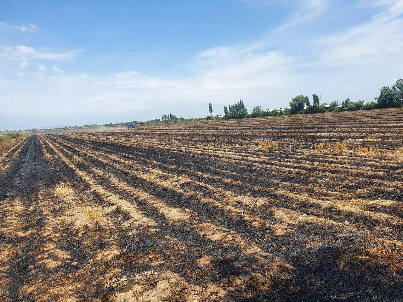 47 agricultural land plots were set on fire in the Izbaskan district. The documents have been sent to the court