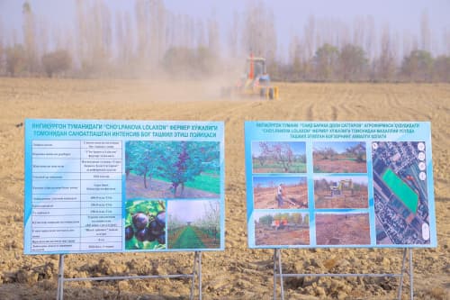 Эски боғлар тарихга айланди: Янгиқўрғонда интенсив олхўри боғи барпо этилмоқда