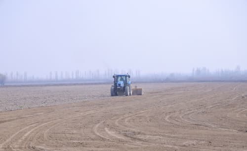 Chigit ekish — tez va sifatli bajariladigan jarayon. 