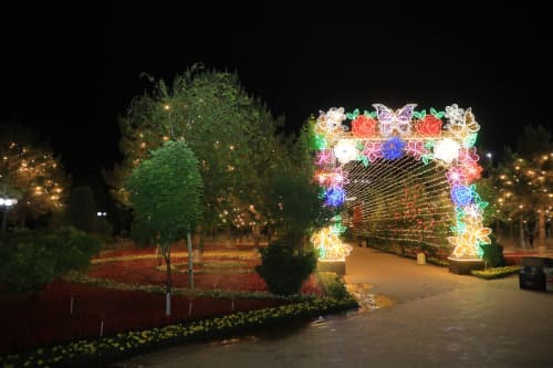 Gullar festivali sari qizg‘in tayyorgarlik: Namanganda rekord natija uchun keng ko‘lamli ishlar olib borilmoqda