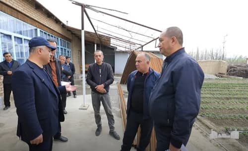 "Gulzor" Bulung‘urdagi qulupnay yetishtiruvchi mahallaga aylanadi