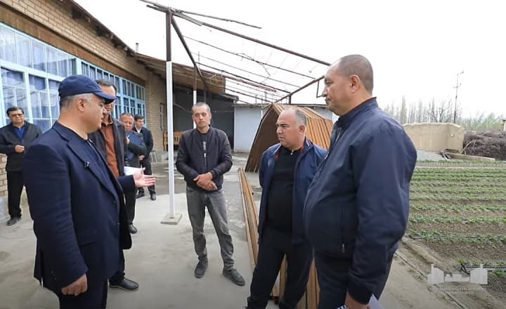 "Gulzor" Bulung‘urdagi qulupnay yetishtiruvchi mahallaga aylanadi