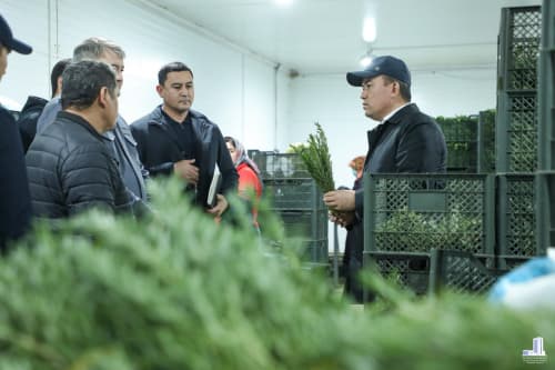 Музработ туманида чорвачилик лойиҳаси ва агрокомплекс фаолияти ўрганилди