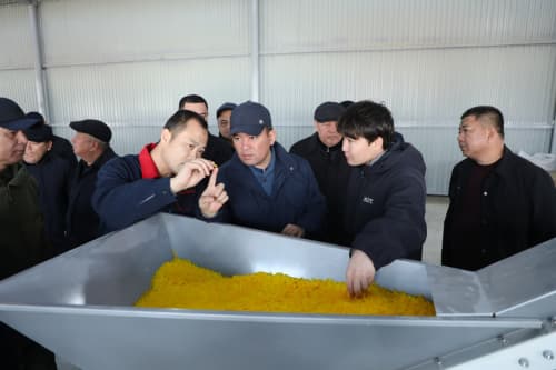 Surxondaryoda qariyb 15 ming gektar maydonda zamonaviy suv tejovchi texnologiyalar joriy etilmoqda