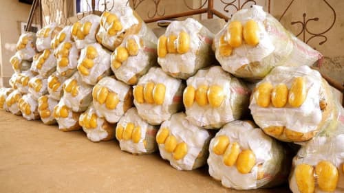 Сурхондарёда деҳқончилик янги босқичда: тўрт ҳосилли модел амалда