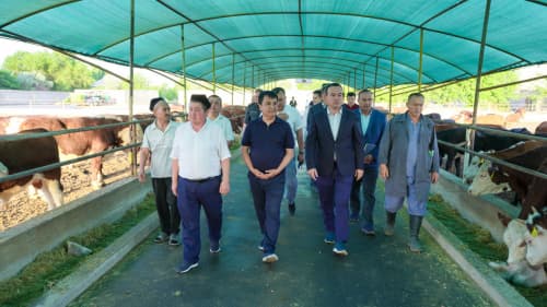 Aholi bandligi, tadbirkorlik va mahalliylashtirish masalalari muhokama qilindi