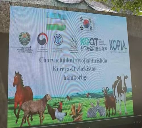 В Сырдарье показали, каким может быть современное молочное животноводство будущего
