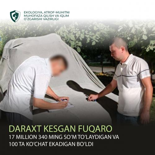 Daraxt kesgan fuqaro 17 million 340 ming so’m to’laydigan va 100 ta ko’chat ekadigan bo’ldi