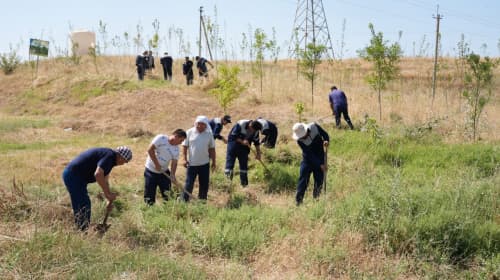 Благоустроенная территория — отрада для души