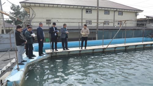 Farg‘onada chorvachilik tarmoqlarini rivojlantirishda muhim loyihalar amalga oshirilmoqda