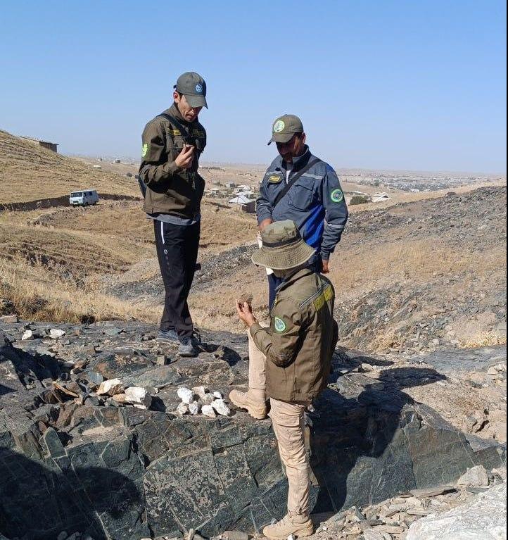 Field research work is underway at the Lolabulok site