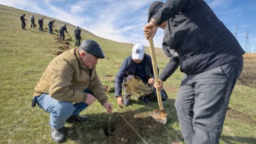 “O‘zarxiv” agentligi jamoasi "Yurt obodligi, avvalo, mahalladan boshlanadi!" shiori ostida umumxalq hasharida faol ishtirok etmoqda