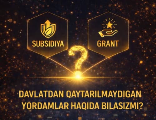 Kambagʻallikni qisqartirish davlat maqsadli jamgʻarmasi mablagʻlari hisobidan ajratiladigan subsidiya va grantlar 