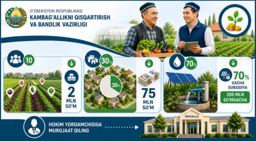 Tomorqa egalari uchun yangi moliyaviy qo‘llab-quvvatlash imkoniyatlari