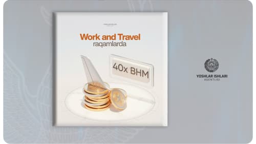 “Work and Travel” raqamlarda