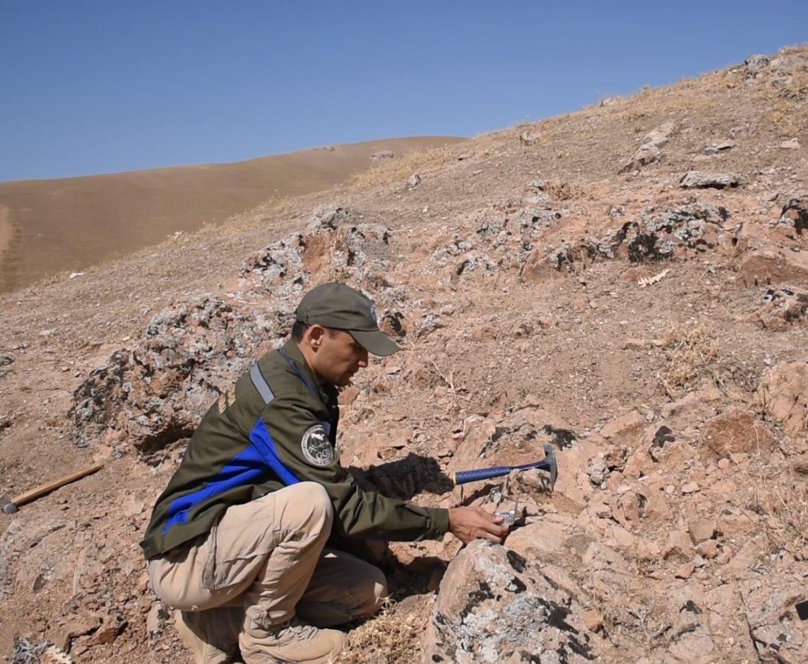 Field research work is underway at the Lolabulok site