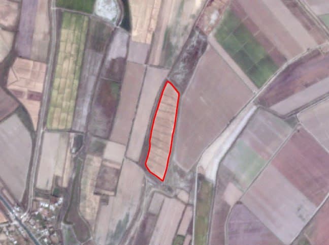 Uzbekcosmos is recording an increase in cases of illegal burning of rice straw.