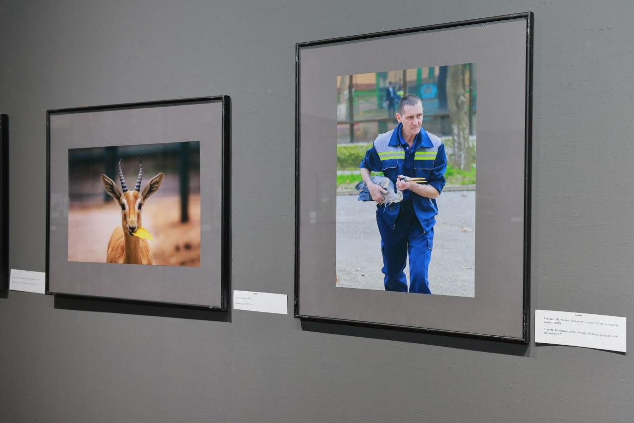 100-year history in the lens: an exhibition dedicated to Tashkent Zoo was held in the capital