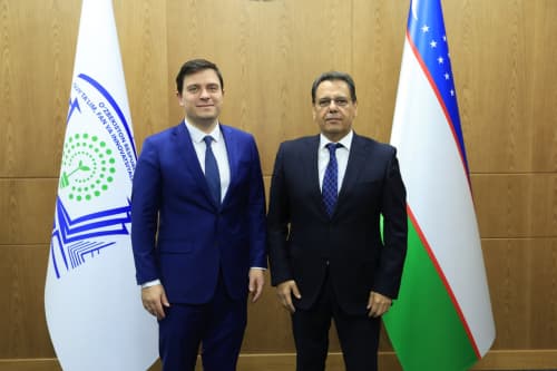 International cooperation