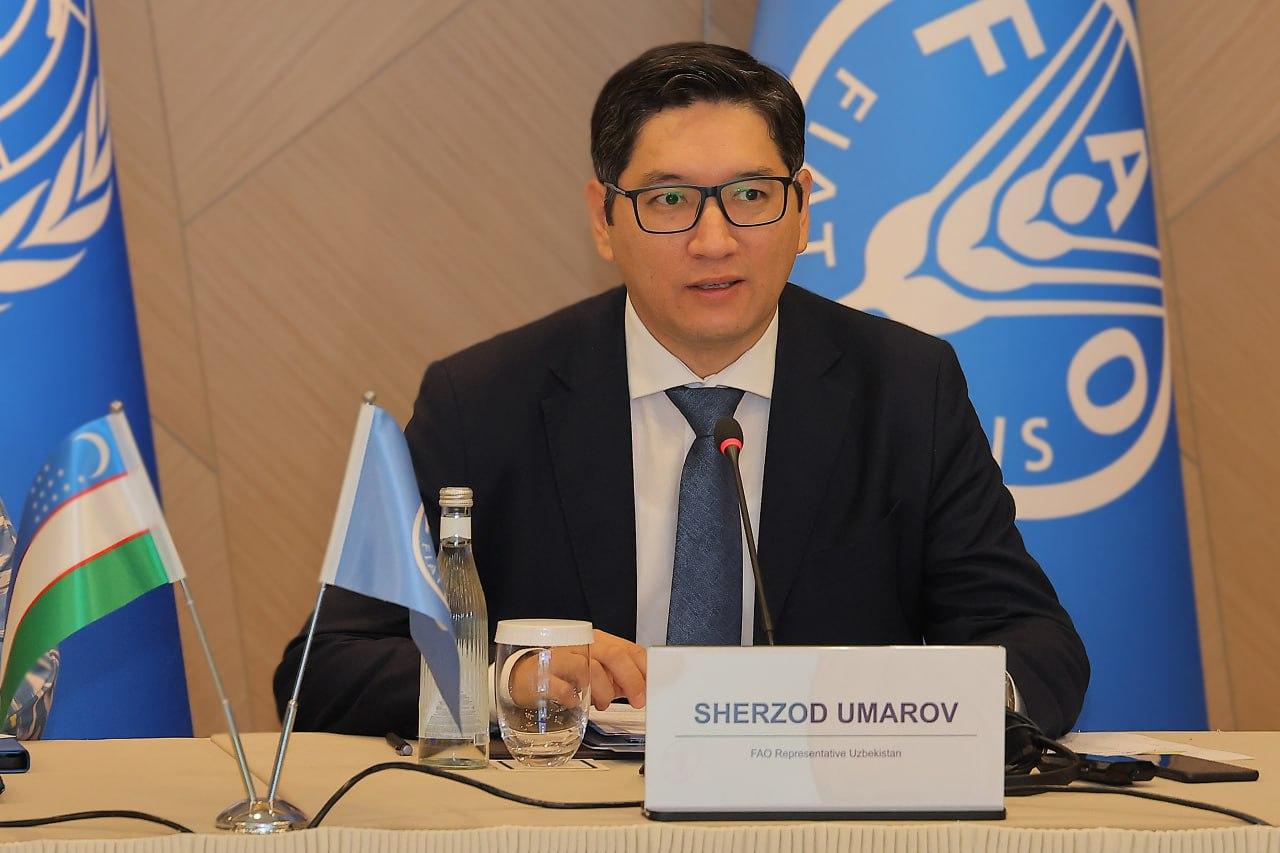 Uzbekistan launched a program to assess the impact of food systems on land use and restoration