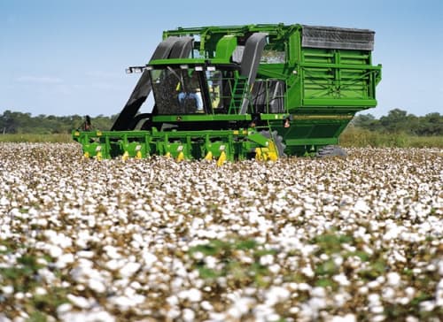 TOSHKENT VILOYATIDA  PAXTA HOSILI YIG‘IM-TERIMINING BORISHI O‘ZAGROINSPEKSIYA NAZORATIDA