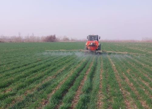 QISHLOQ XO‘JALIGI EKINLARI URUG‘LARI YETISHTIRILISHI INSPEKSIYA NAZORATIDA