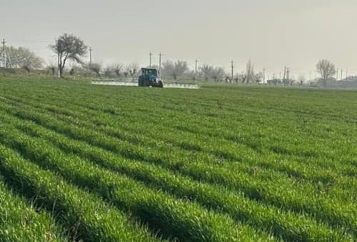 Качественные семена – основа высокой урожайности.