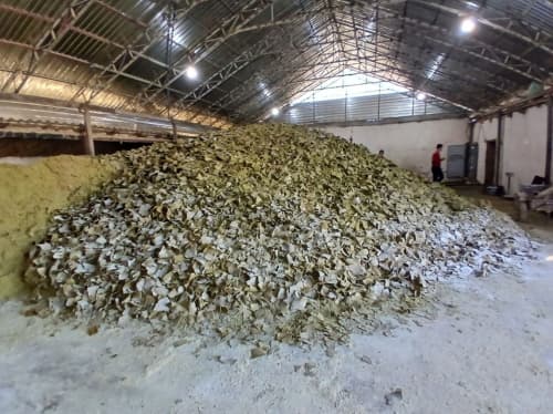 PAXTA CHIGITINI NOQONUNIY QAYTA ISHLASH VA SOXTA HUJJATLARDAN FOYDALANISH HOLATI FOSH ETILDI