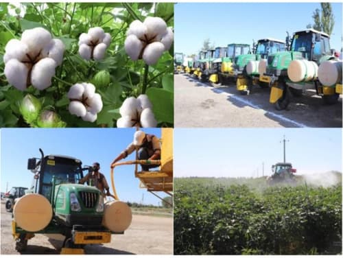 DEFOLIATSIYA TADBIRLARINI O‘Z VAQTIDA VA SIFATLI O‘TKAZILISHI YUZASIDAN NAZORAT TADBIRLARI O‘TKAZILMOQDA