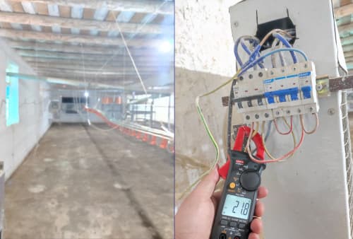 Jizzax viloyatida 2,5 mlrd so‘mlik elektr energiyasidan noqonuniy foydalangan parrandachilik fermasi fosh etildi