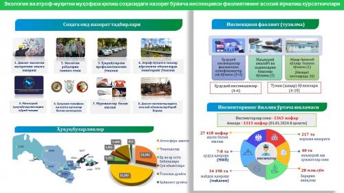 Indicators of the activities of the Environmental Inspectorate