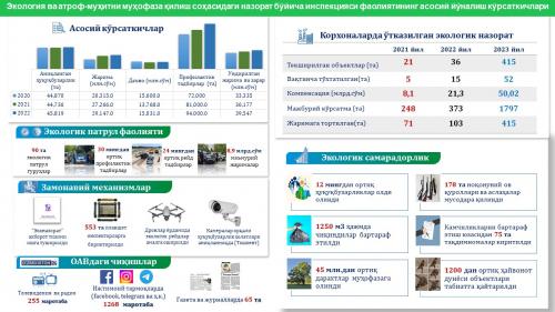 Показатели экологической инспекции