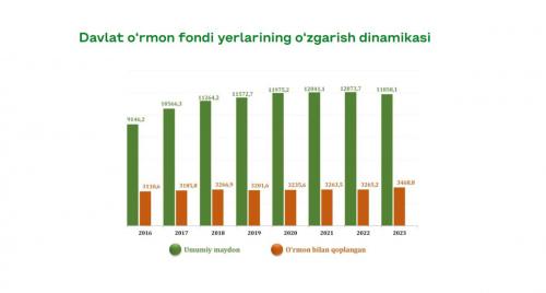 O`rmon fondi korsatkichlari 1