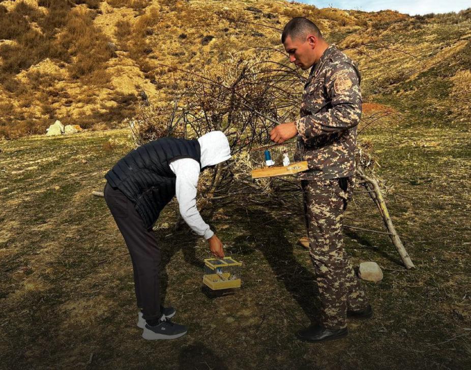 Noqonuniy ov: joriy yilda 298 nafar shaxsga chora ko‘rilgan