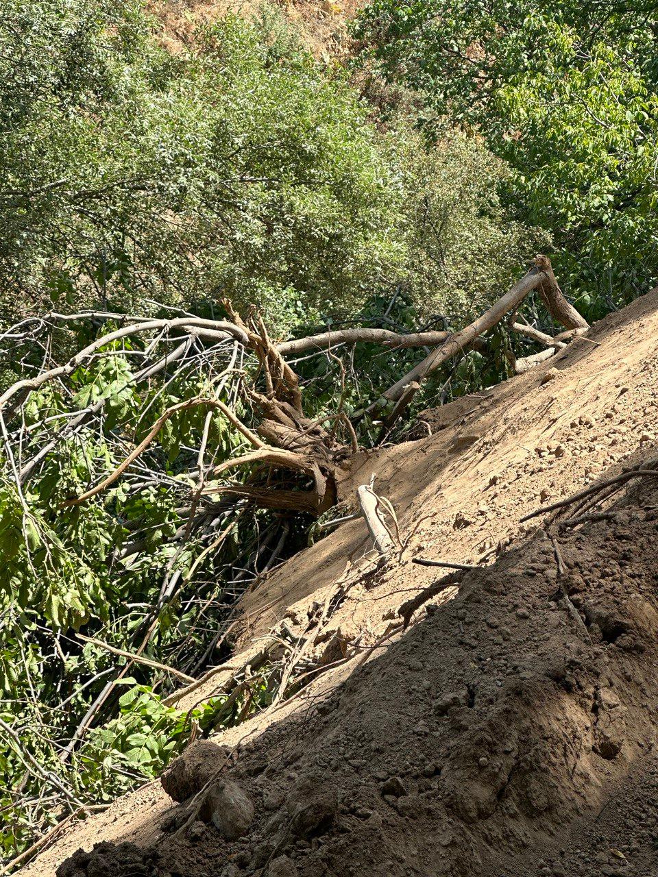 The nature of Amankutan Park has been damaged in the amount of more than 1 billion sums