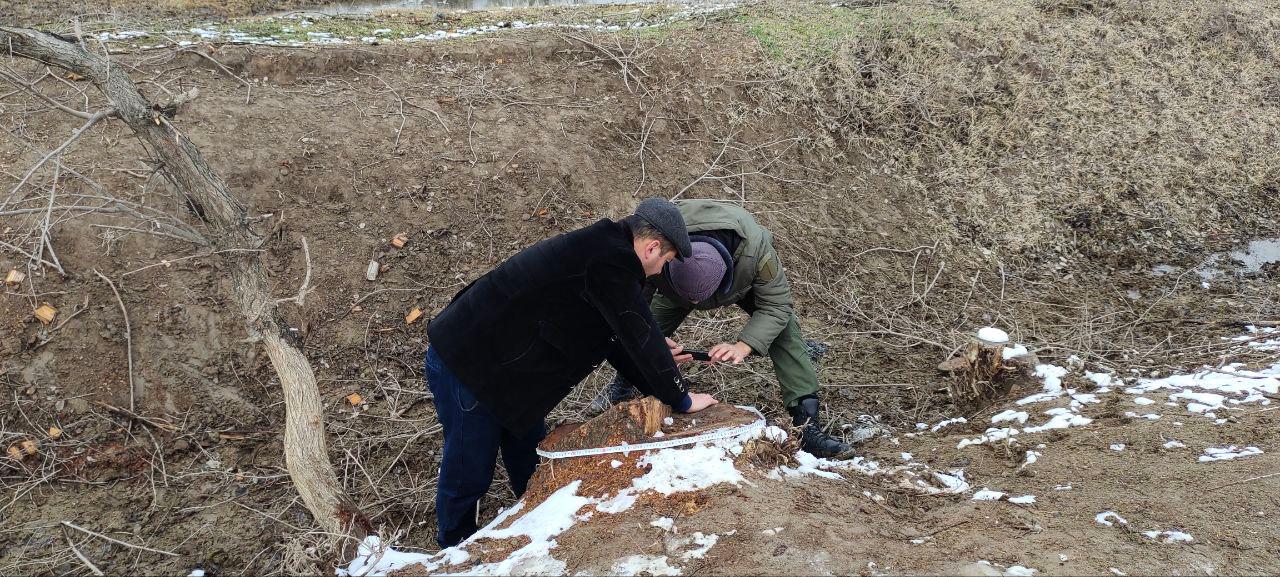 Individuals who cut down 21 Elm trees are deprived of liberty