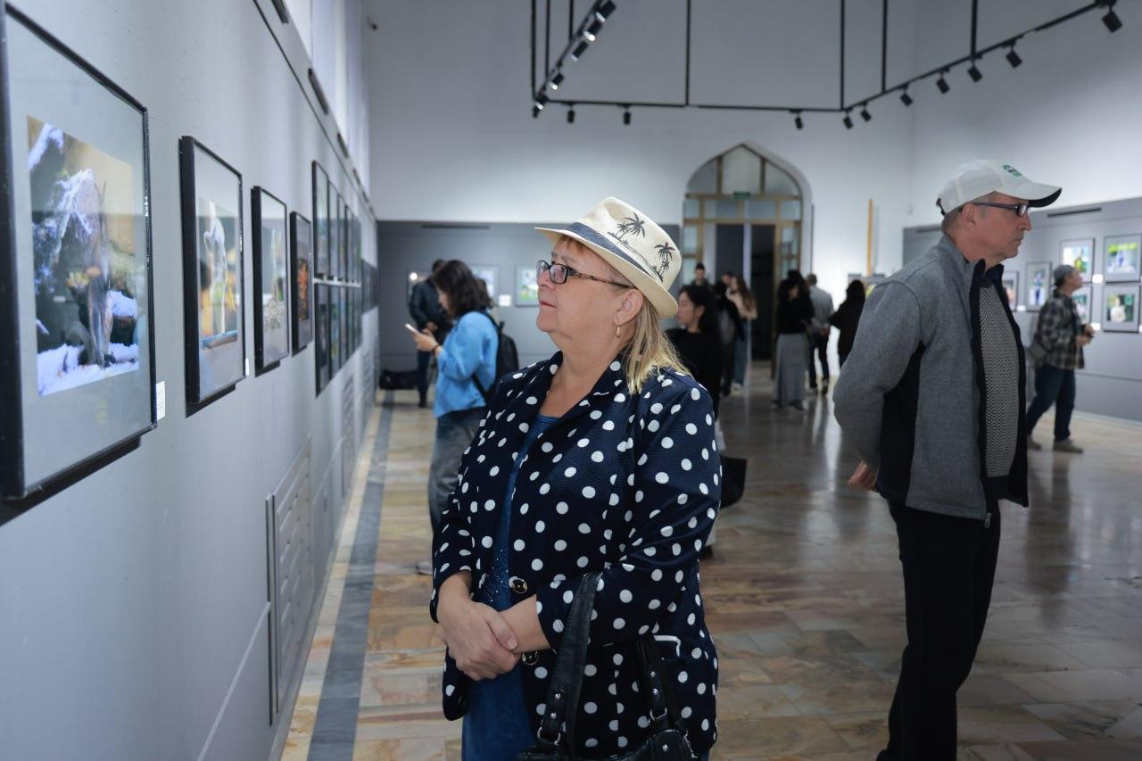 100 yillik tarix obyektivda: poytaxtda Toshkent hayvonot bog‘iga bag‘ishlangan ko‘rgazma bo‘lib o‘tdi