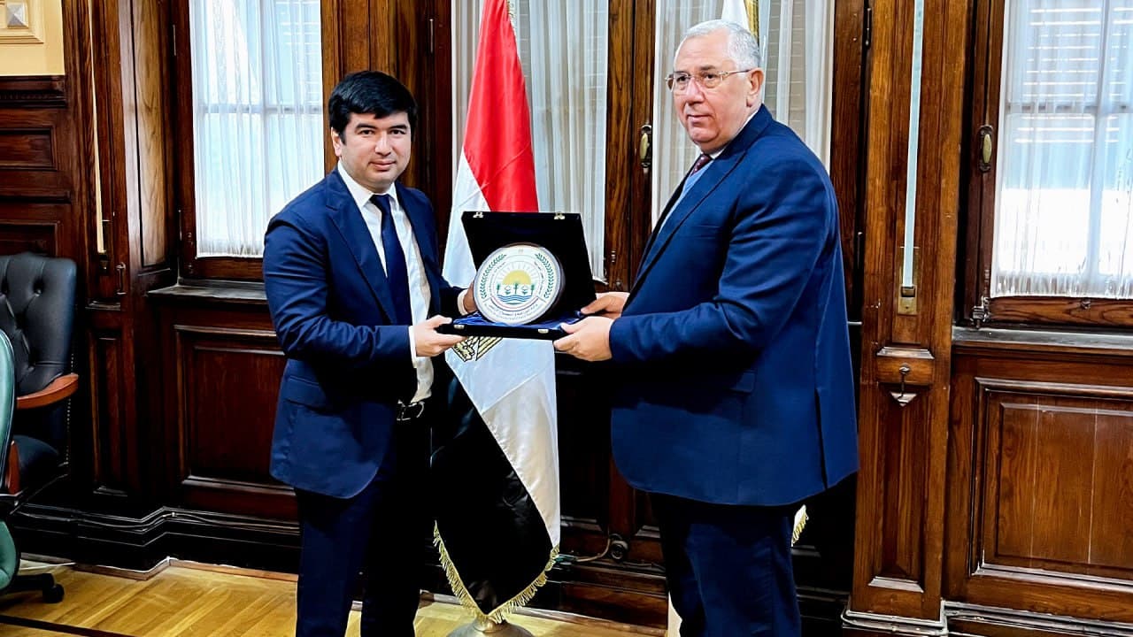 Cooperation between Uzbekistan and Egypt in the field of agriculture is expanding