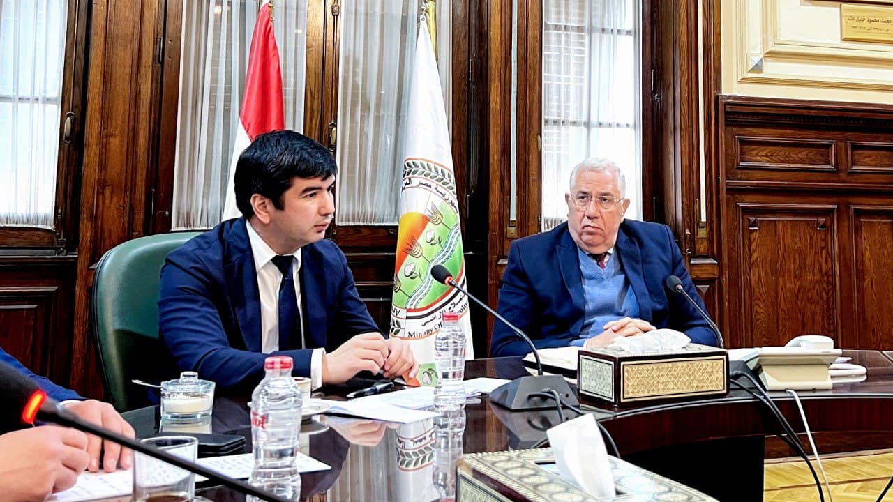 Cooperation between Uzbekistan and Egypt in the field of agriculture is expanding