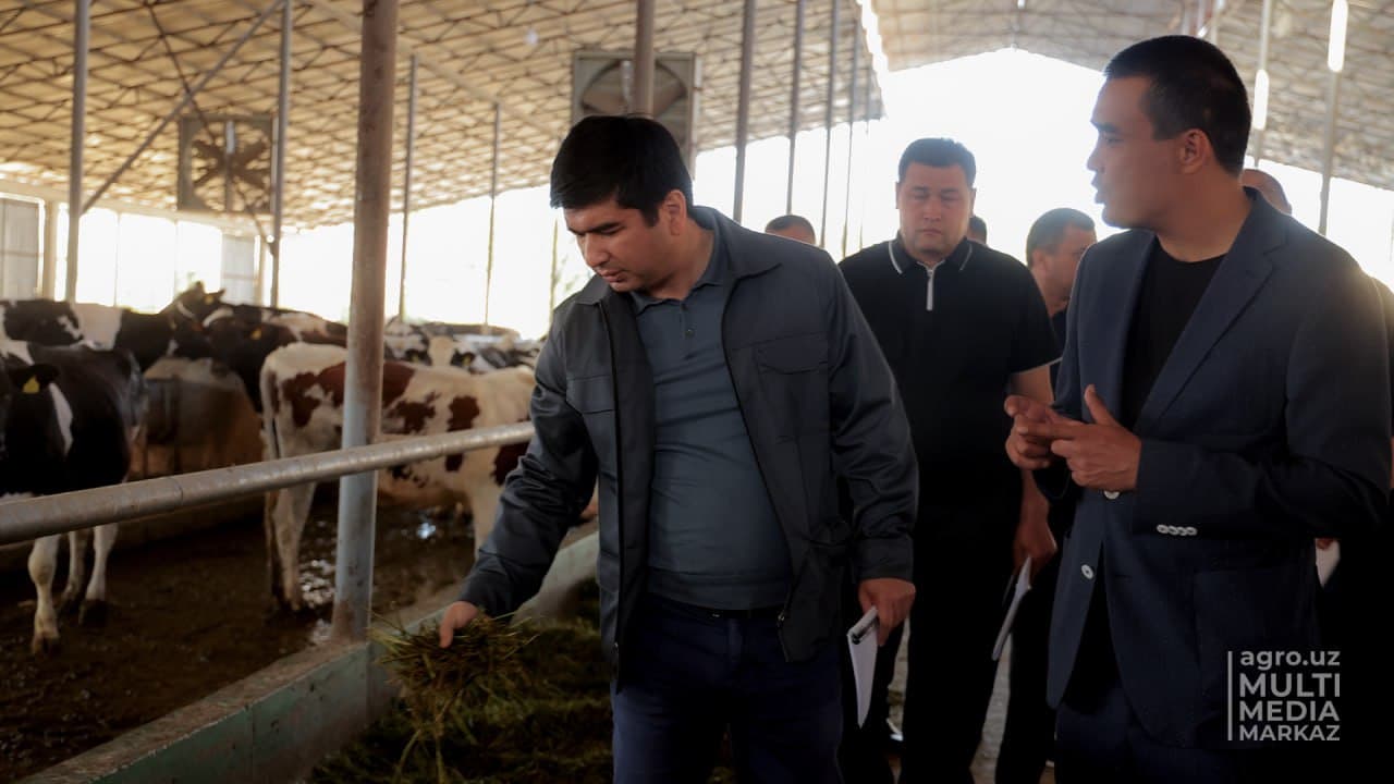 Встреча с животноводами Ферганской долины