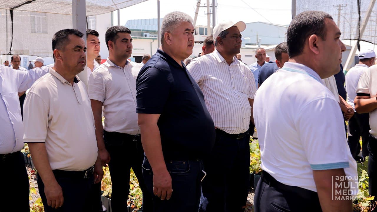 Iqlim sharoitiga moslashtirilgan ko‘chat navlari – mutaxassislar muhokamasida