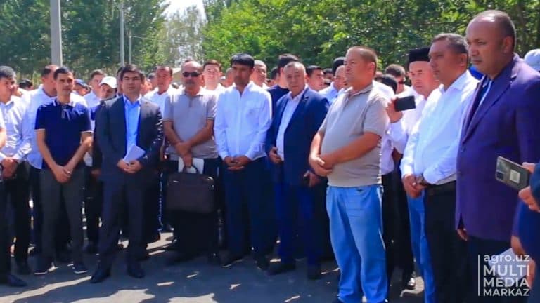 Close attention to the development of sericulture in the Andijan region