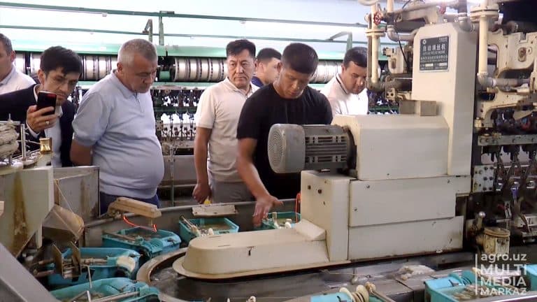 Close attention to the development of sericulture in the Andijan region