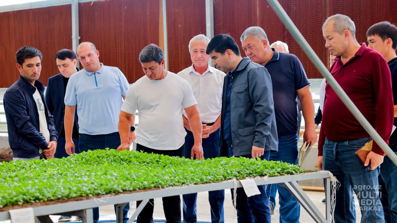 Қишлоқ хўжалиги вазири – Қашқадарёда