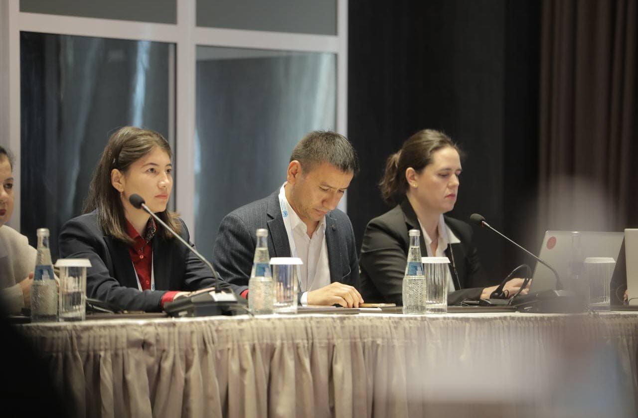 Международные и местные ученые обсудили инновационные подходы в борьбе с песчаными и пыльными бурями